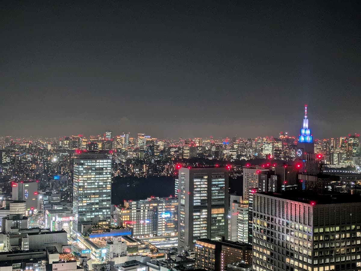 South Observation Deck, Tokyo Metropolitan Government Building No. 1